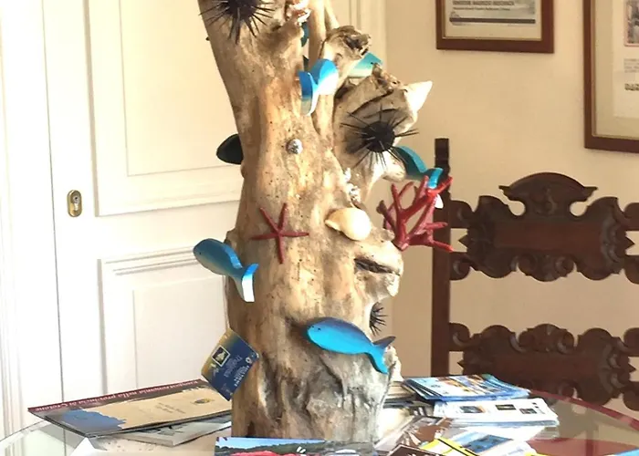 酒店 极光别墅酒店 利卡斯戴勒