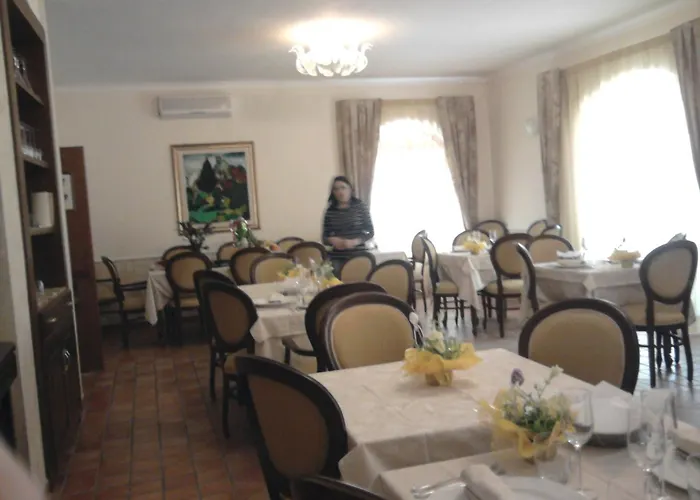 酒店 极光别墅酒店